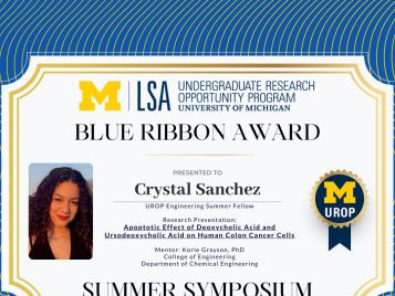 2021 Summer Blue Ribbon IG 